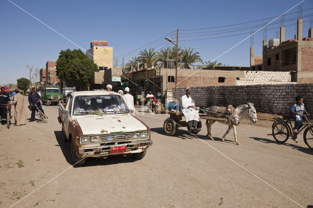 Bahariya Oasis