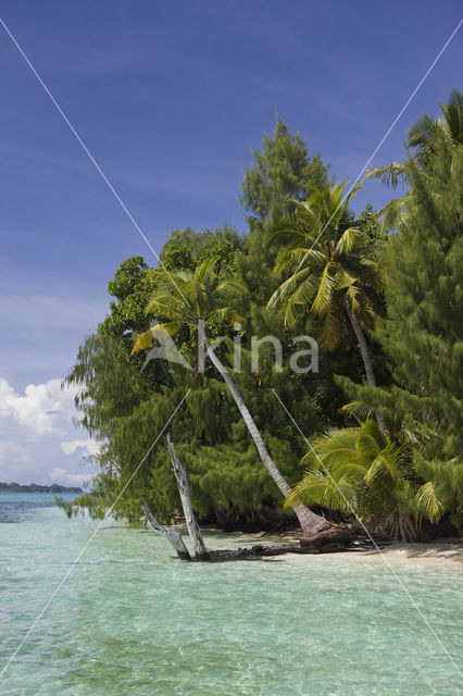 Caroline Islands