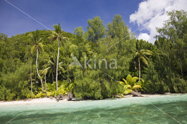 Caroline Islands