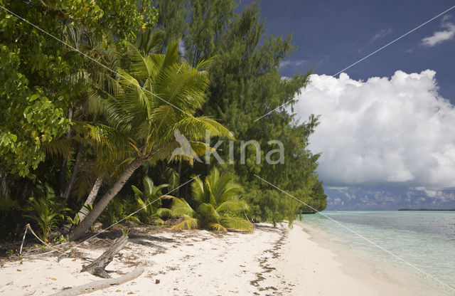 Caroline Islands