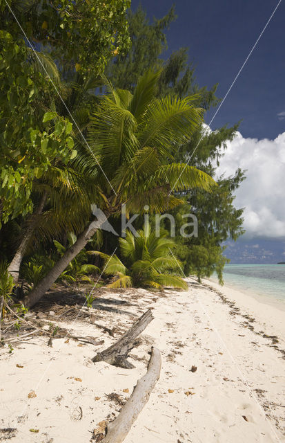 Caroline Islands