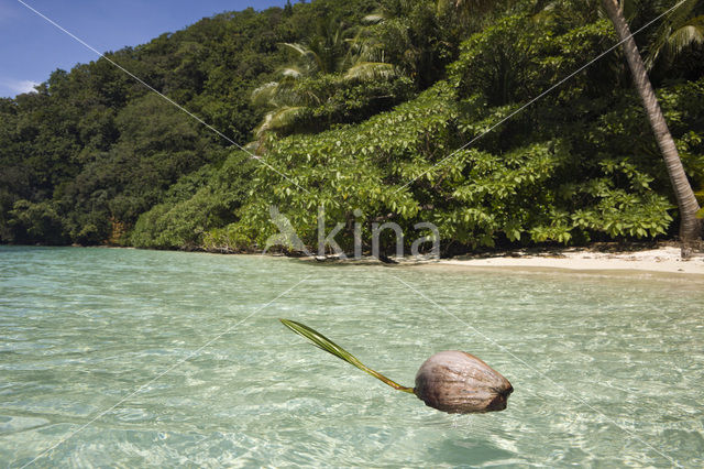 Caroline Islands