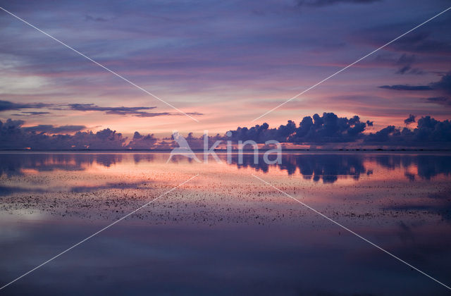Caroline Islands