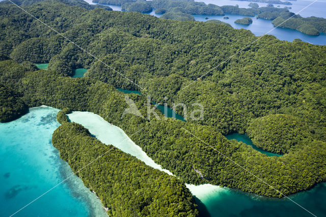 Caroline Islands
