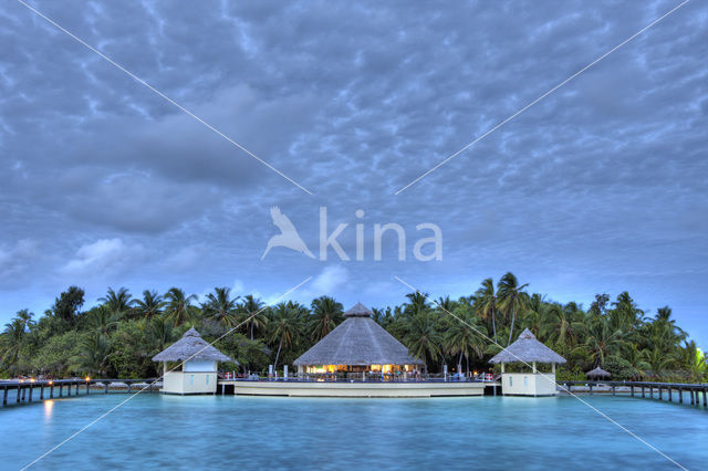 Ellaidhoo