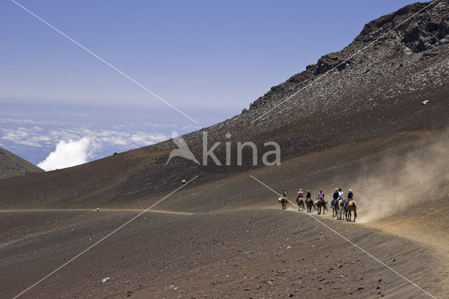 Haleakala National Park