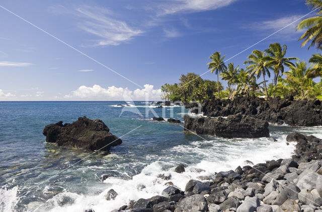 Keanae Point