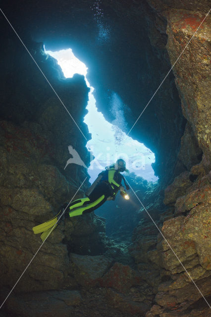 Lanai Cathedrals