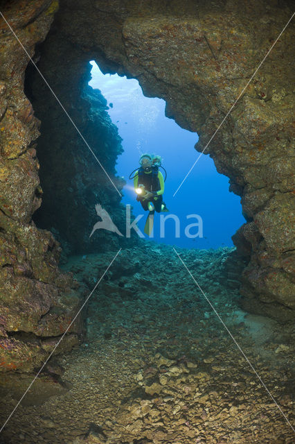 Lanai Cathedrals