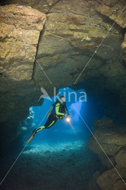 Lanai Cathedrals