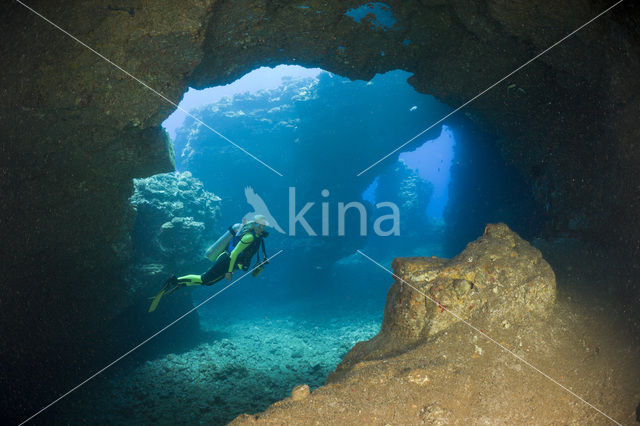 Lanai Cathedrals