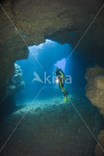 Lanai Cathedrals