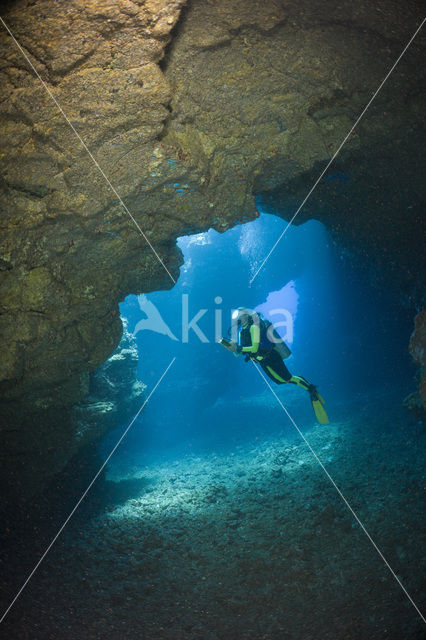 Lanai Cathedrals