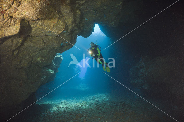 Lanai Cathedrals