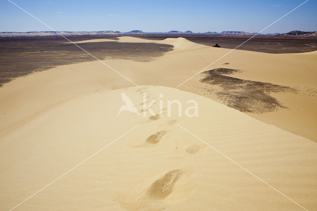 Libyan Desert