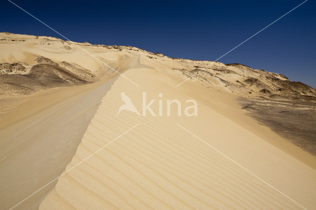 Libyan Desert