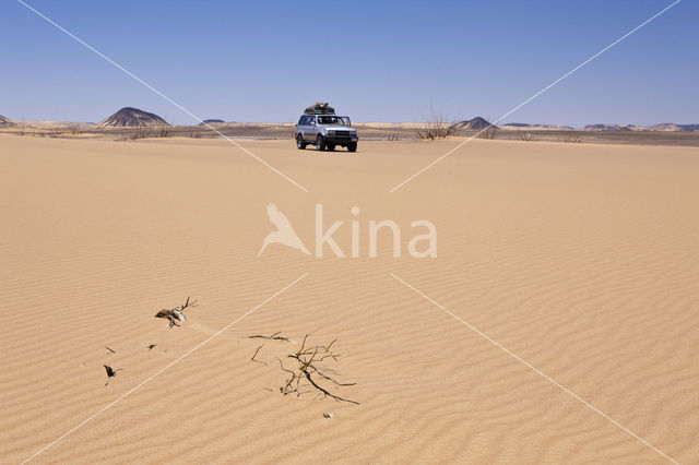 Libyan Desert