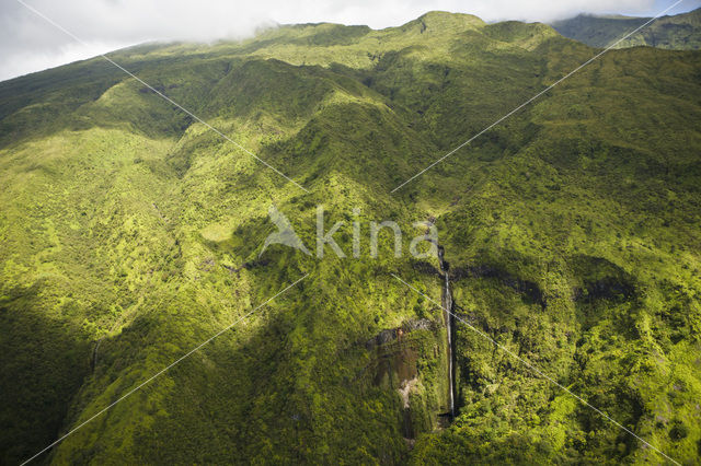 Maui