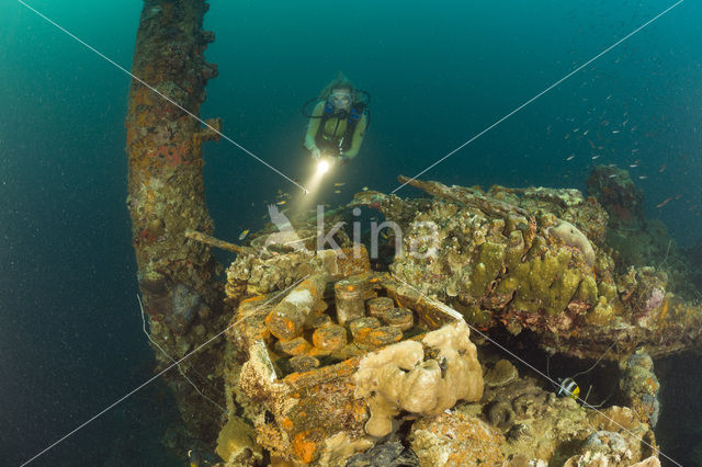 Unidentified Japanese warschip