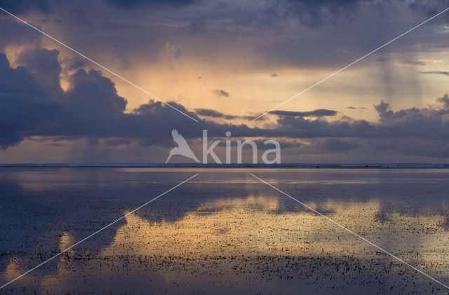 Peleliu Island