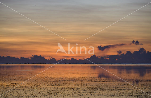 Peleliu Island