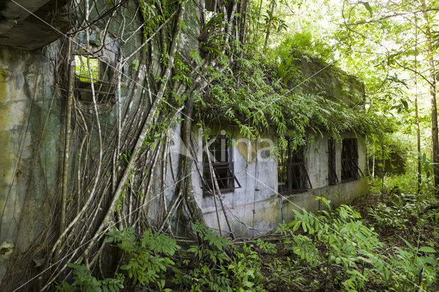 Peleliu Island