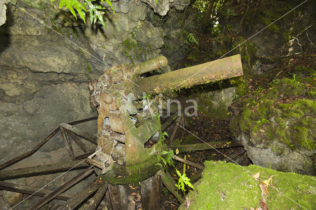 Peleliu Island