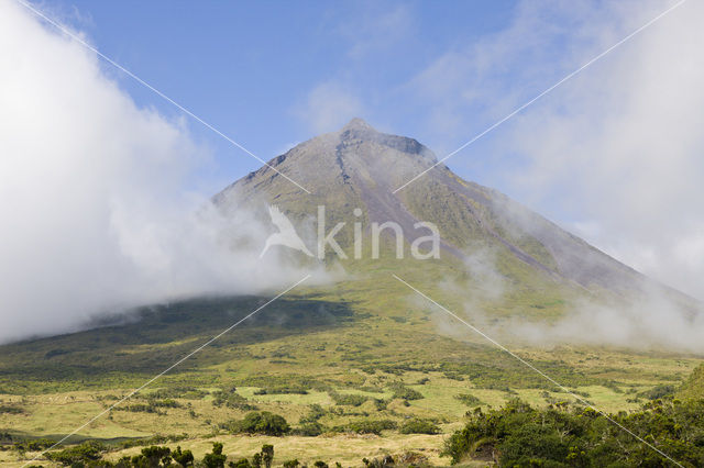 Mount Pico