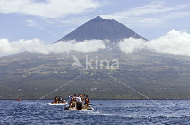 Pico Vulkaan