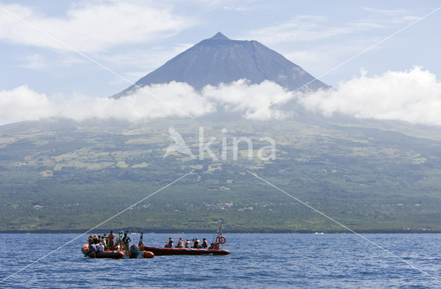 Pico Vulkaan