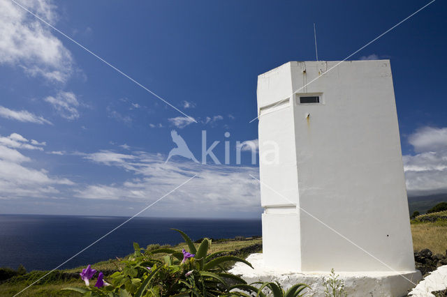 Pico Island