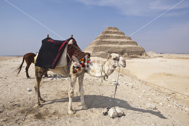 Pyramid of Djoser