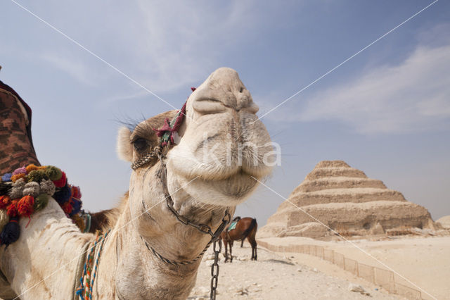 Pyramid of Djoser