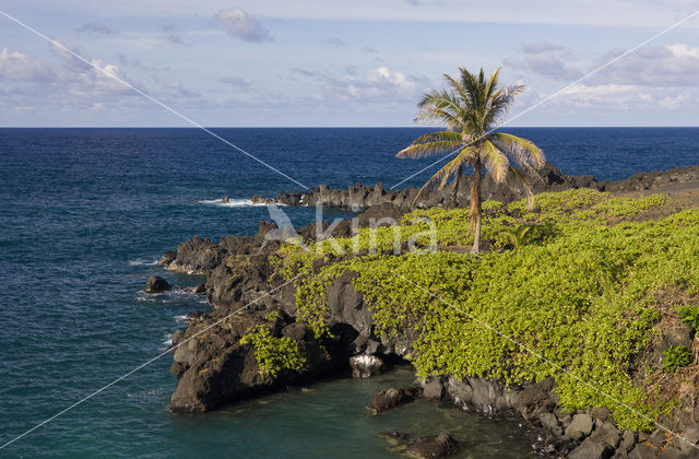 Waianapanapa State Park