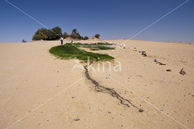 White Desert