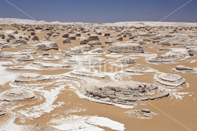 White Desert National Park
