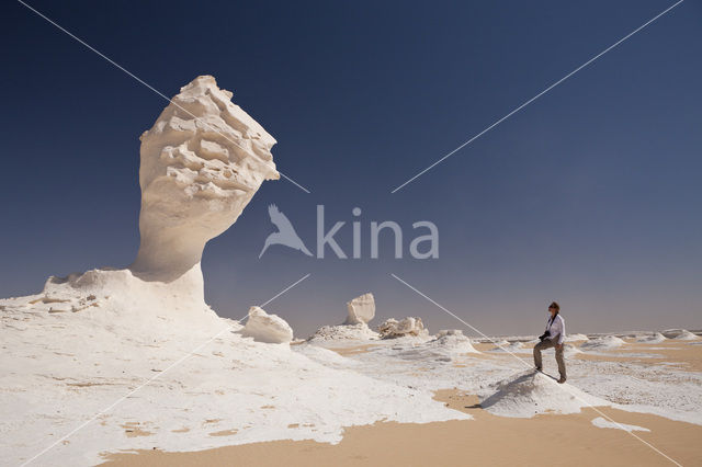 White Desert National Park