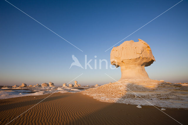 White Desert National Park