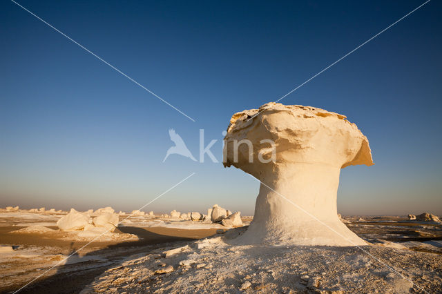 White Desert National Park