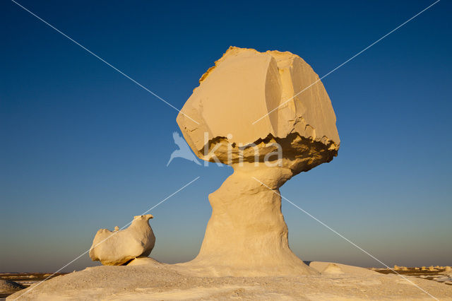 White Desert National Park