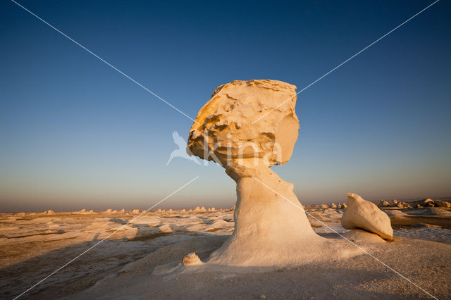 White Desert National Park