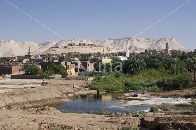 Dakhla Oasis