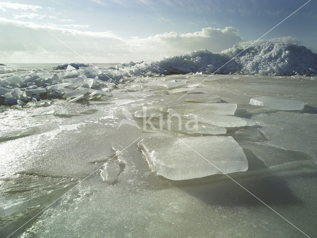 IJsselmeer