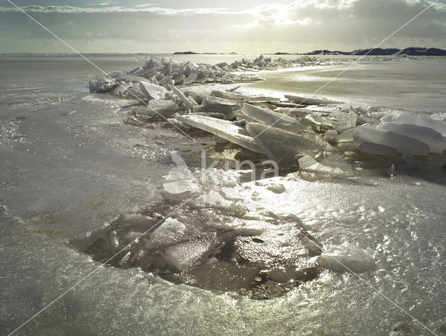 IJsselmeer