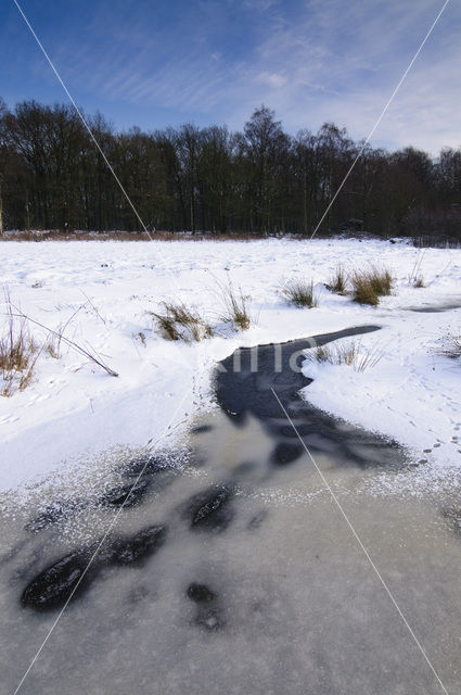 Landgoed Noord Ginkel