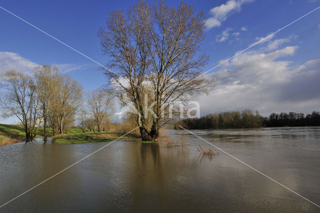 Loire river