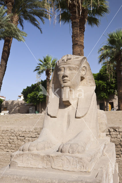 Luxor Temple