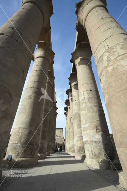 Luxor Temple