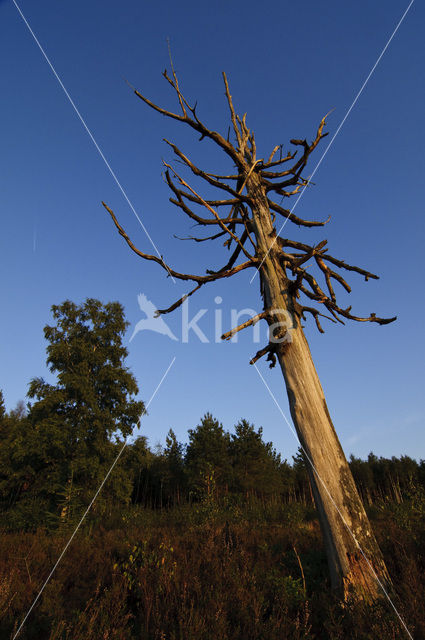 Nationaal park Utrechtse Heuvelrug