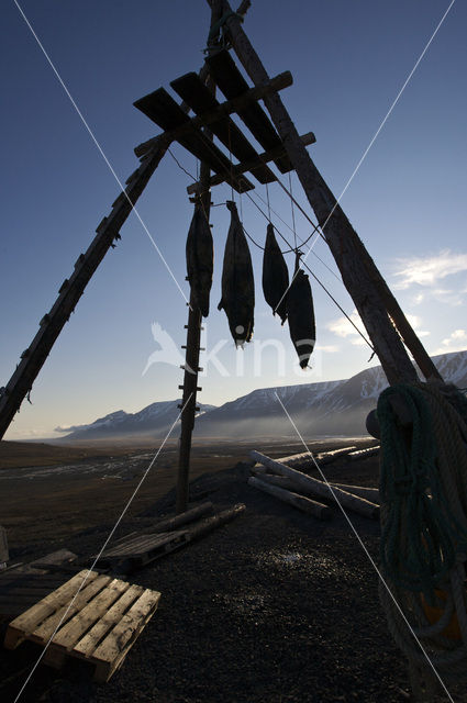 Spitsbergen